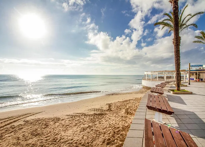 1 Bedroom Cozy In * Torrevieja